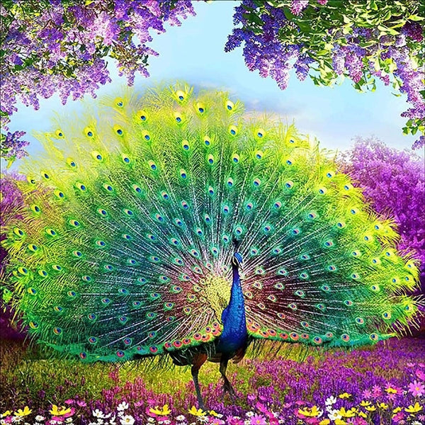 Bimkole 5D Diamond Painting Peacock Full Drill by Number Kits for Adults Paint with Diamonds Arts DIY Home Living Room Wall Decor Craft